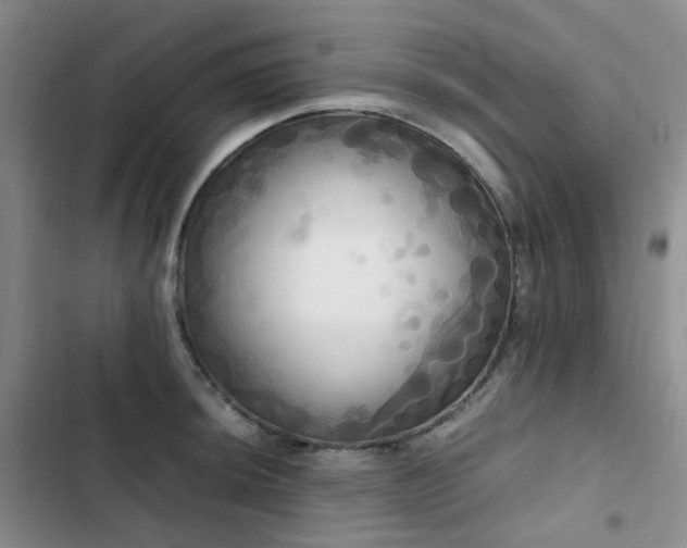 X0000102841044200808181343