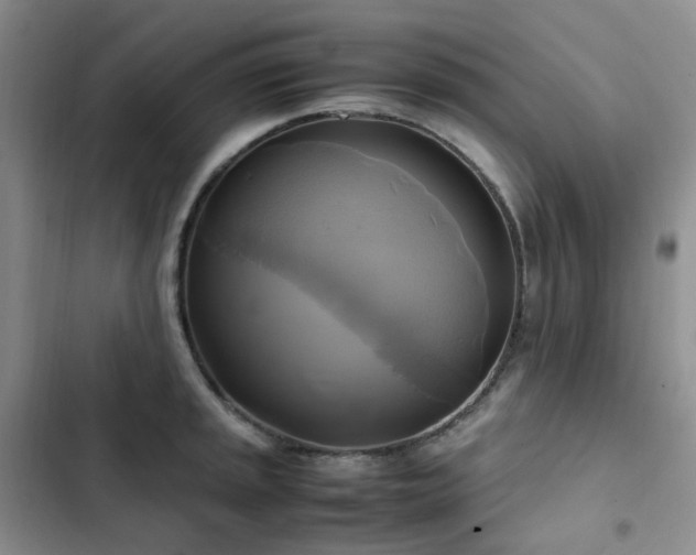 X0000102841045200808181343