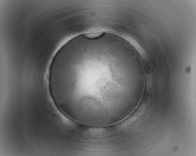 X0000102841046200808181343