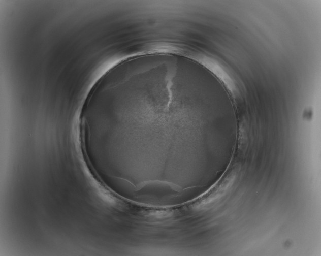 X0000102841047200808181343