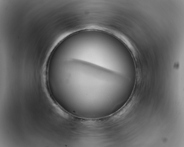 X0000102841048200808181343