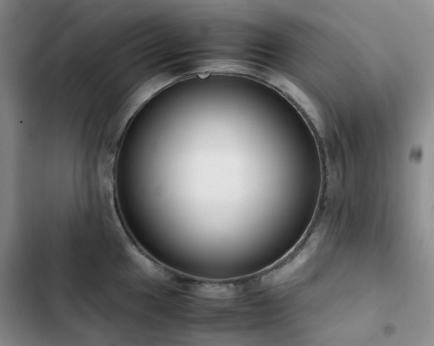 X0000102841049200808181343