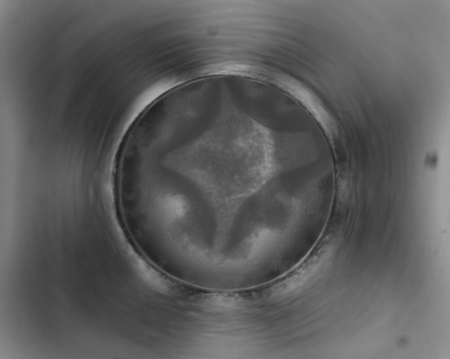 X0000102841050200808181343