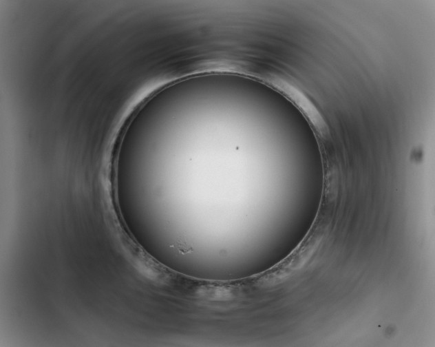 X0000102841051200808181343