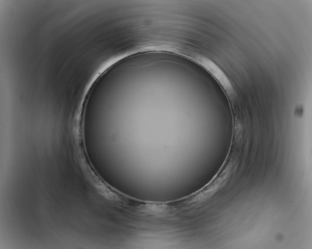 X0000102841052200808181343