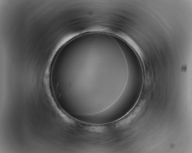 X0000102841053200808181343