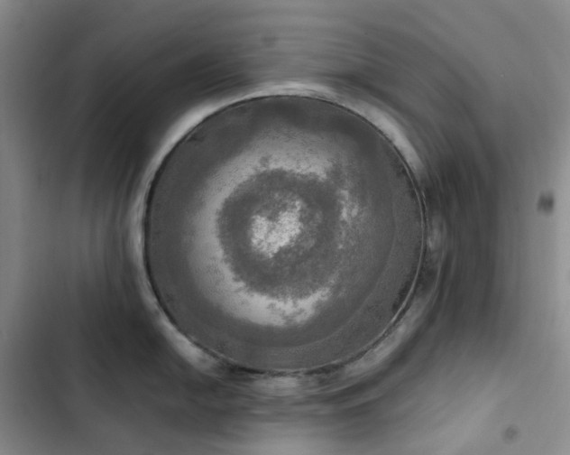 X0000102841054200808181343