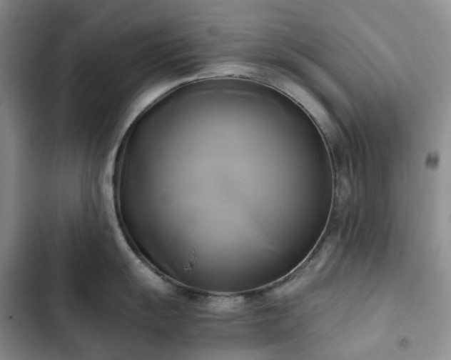 X0000102841055200808181343