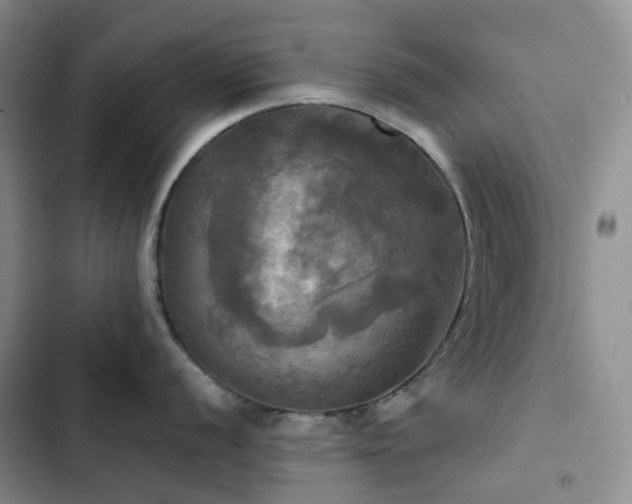 X0000102841056200808181343