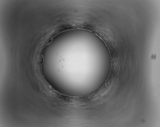 X0000102841057200808181343