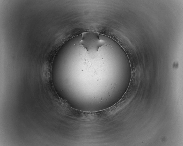 X0000102841058200808181343