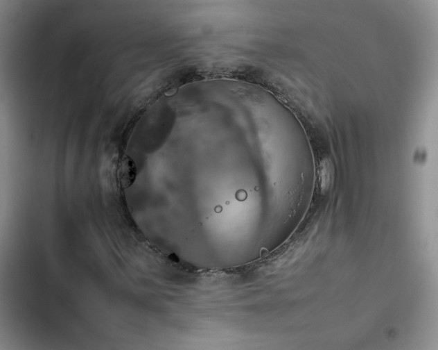 X0000102841059200808181343