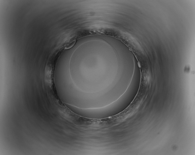 X0000102841060200808181343
