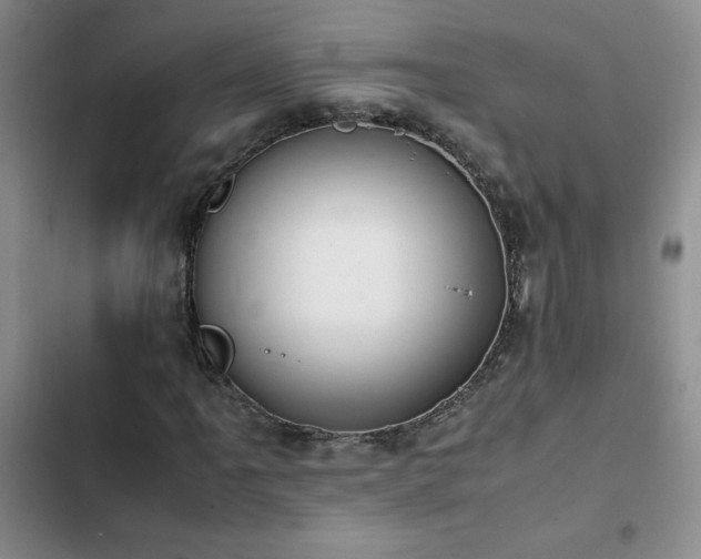 X0000102841061200808181343