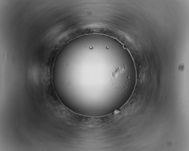 X0000102841062200808181343