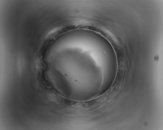 X0000102841063200808181343