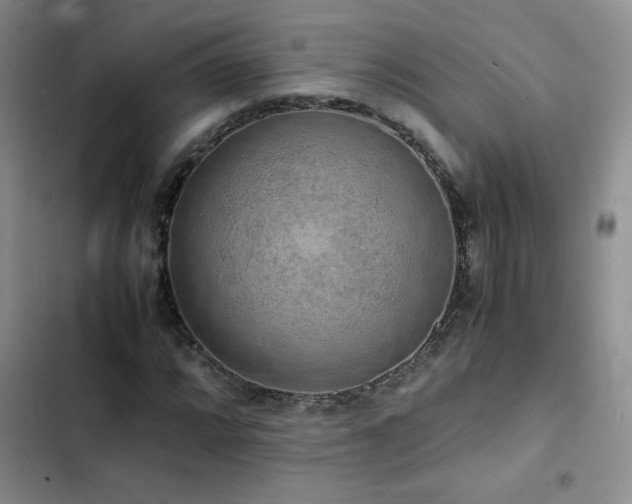 X0000102841064200808181343