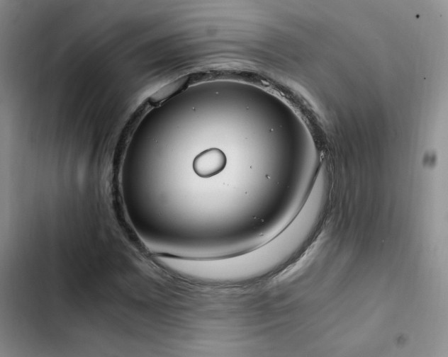 X0000102841065200808181343