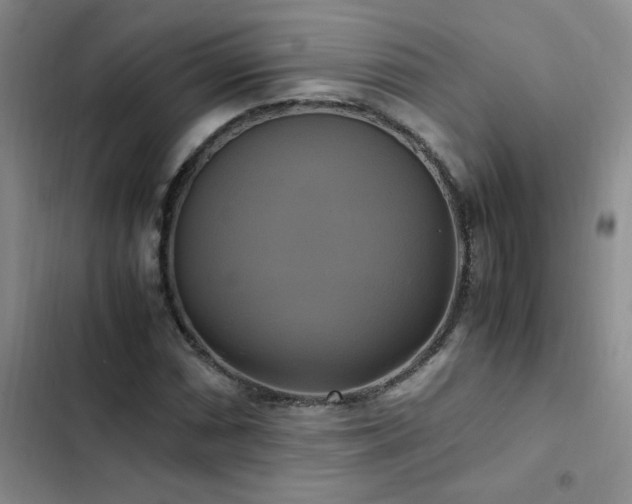 X0000102841066200808181343