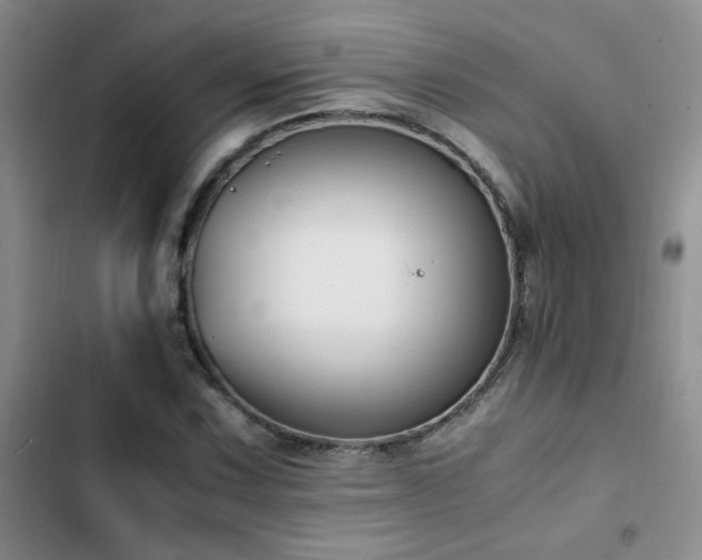 X0000102841067200808181343