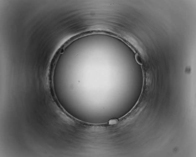 X0000102841068200808181343