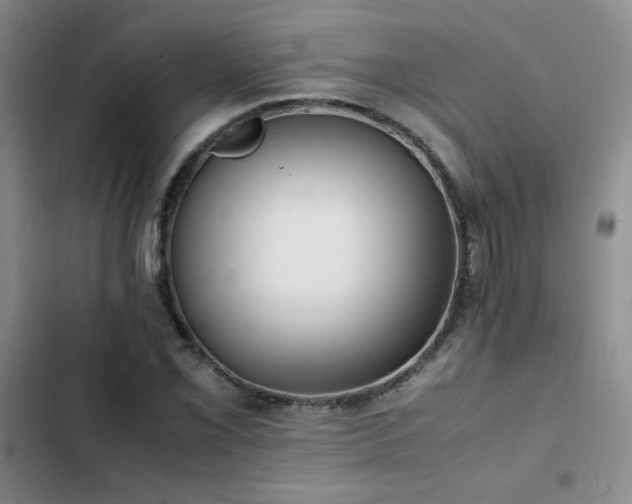 X0000102841069200808181343