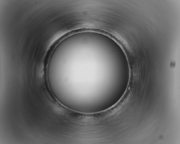 X0000102841070200808181343