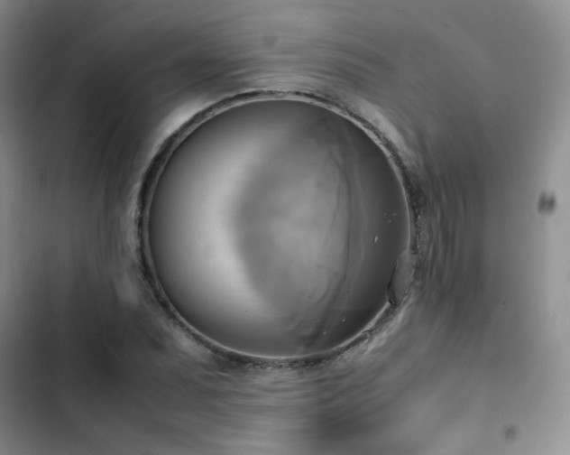 X0000102841071200808181343