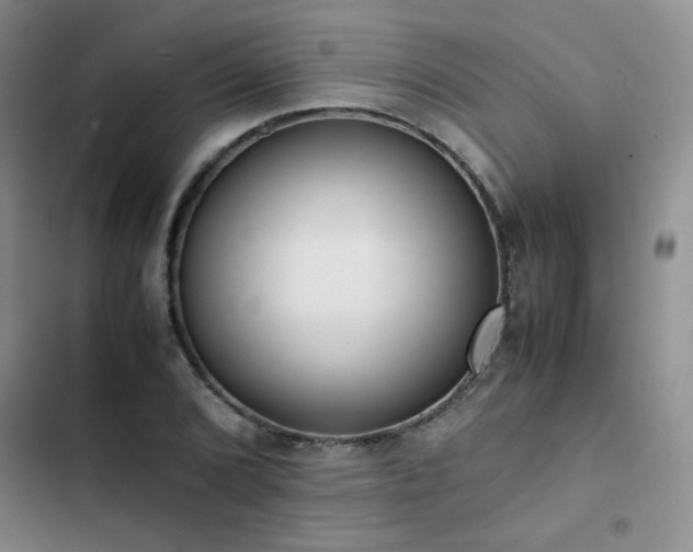 X0000102841072200808181343