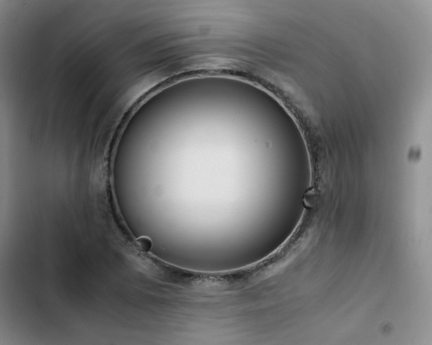 X0000102841073200808181342