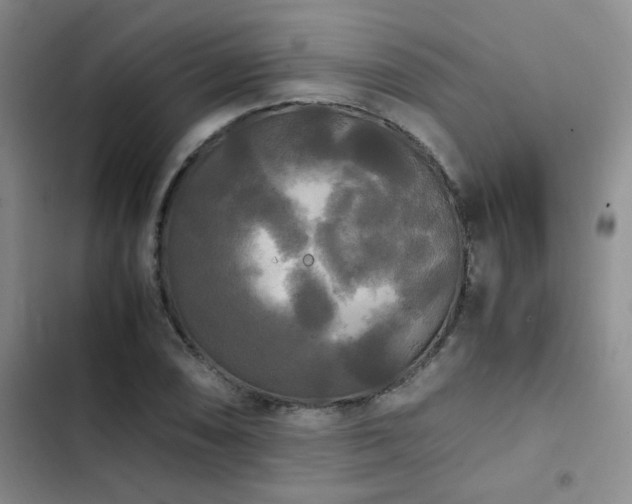 X0000102841074200808181342