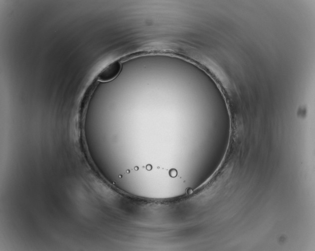 X0000102841075200808181342