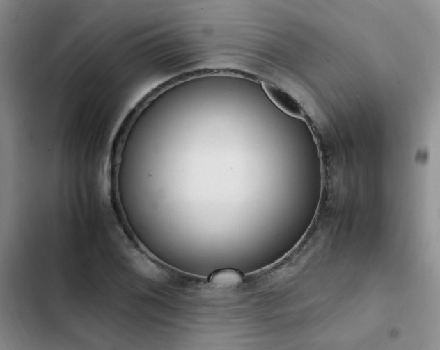 X0000102841076200808181342