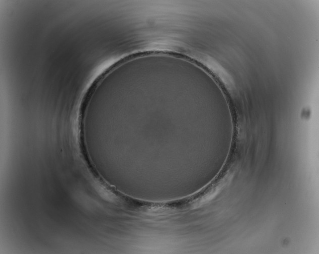 X0000102841077200808181342