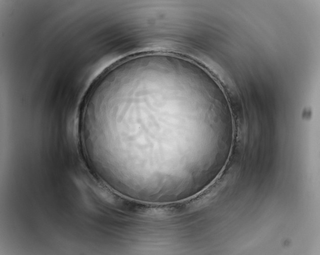 X0000102841078200808181342