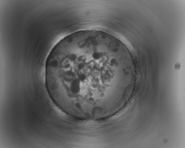 X0000102841079200808181342