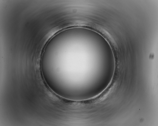 X0000102841081200808181342