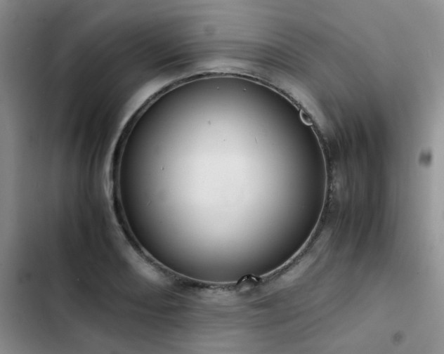 X0000102841082200808181342