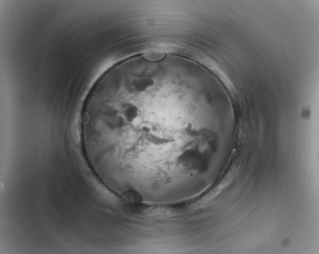 X0000102841083200808181342