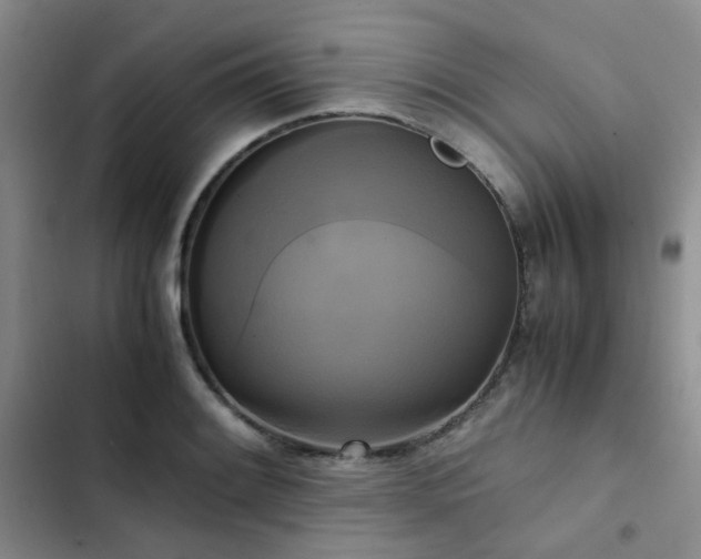 X0000102841084200808181342