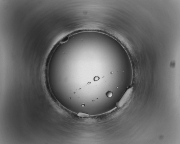X0000102841085200808181342