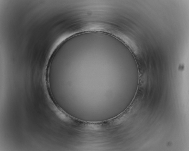 X0000102841086200808181342