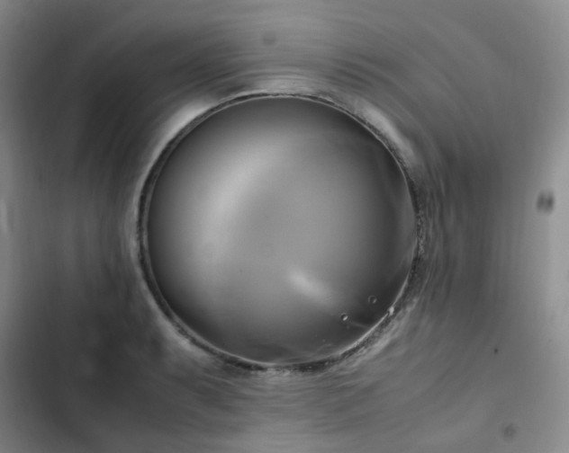 X0000102841087200808181342