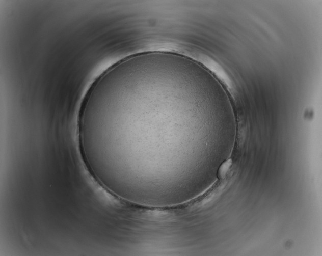 X0000102841088200808181342