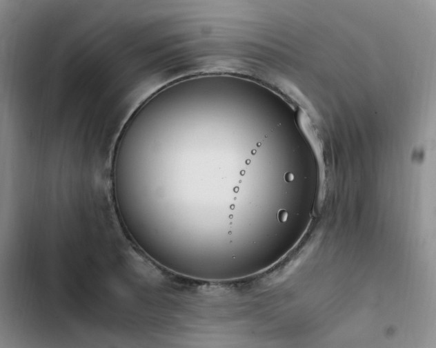 X0000102841089200808181342