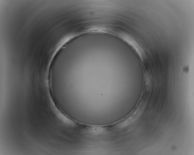 X0000102841090200808181342