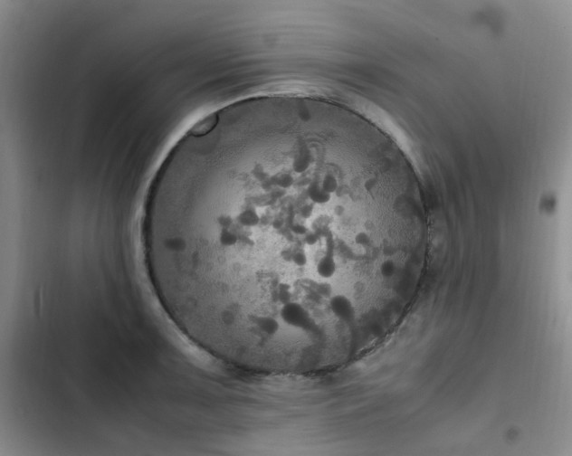 X0000102841091200808181342