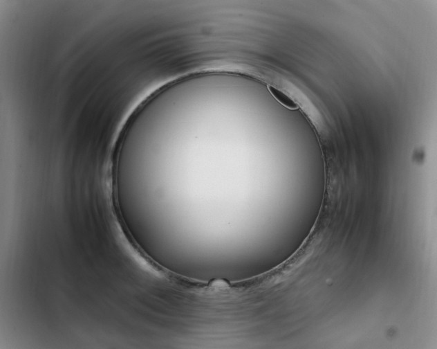 X0000102841092200808181342
