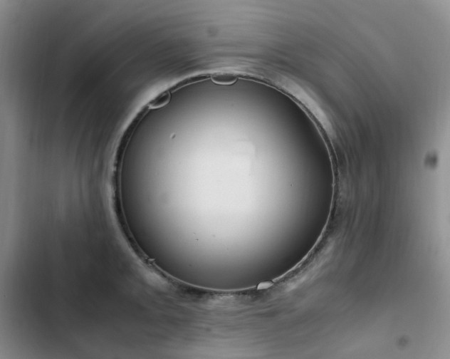 X0000102841093200808181342