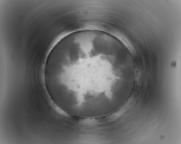 X0000102841094200808181342